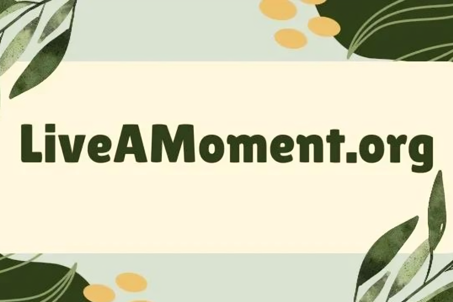 ://liveamoment.org/