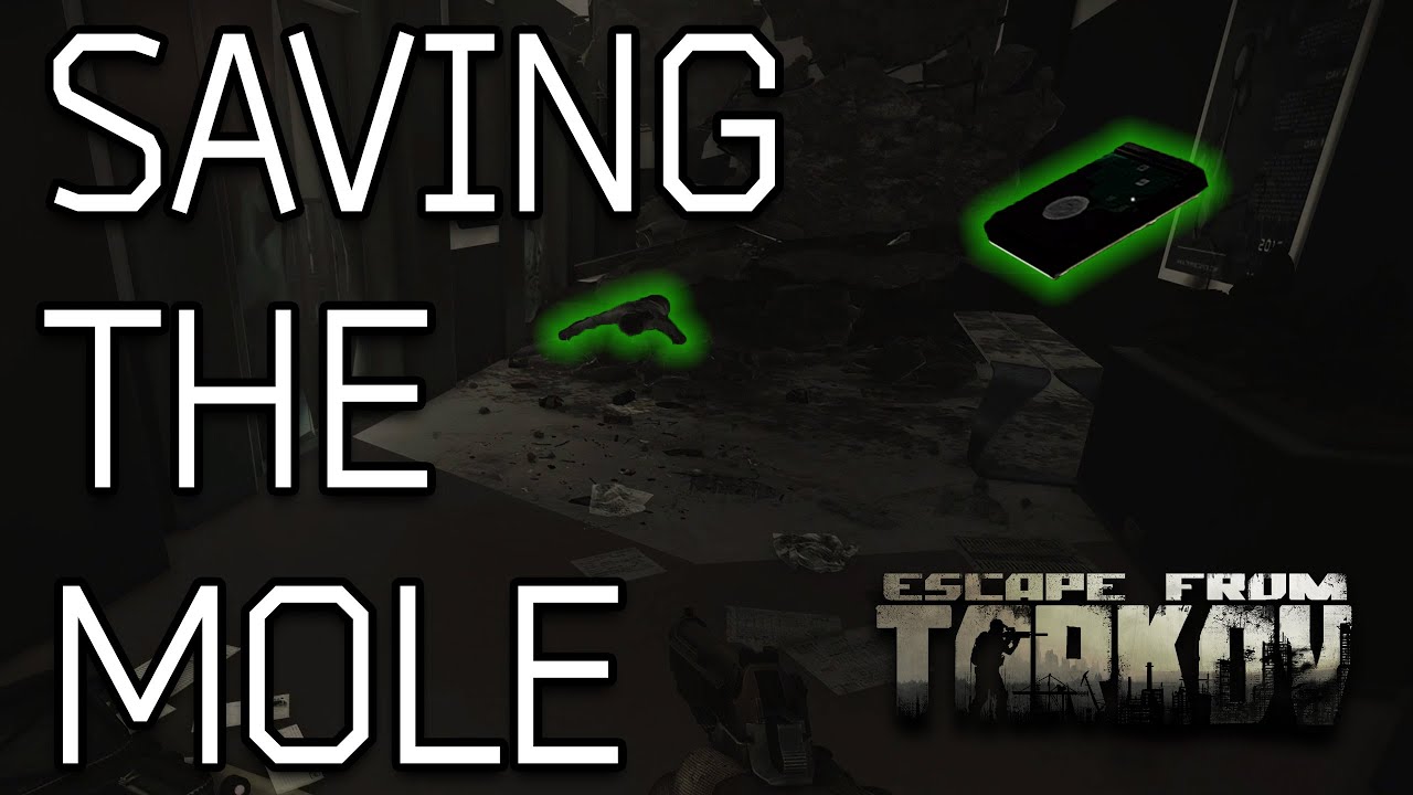 save the mole tarkov