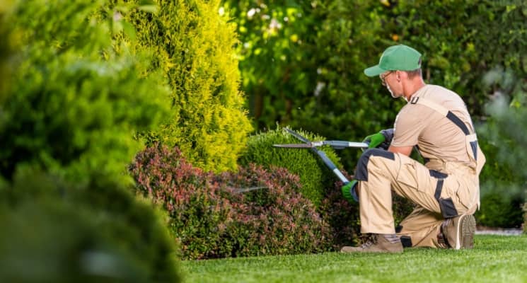 Gardener Dubai