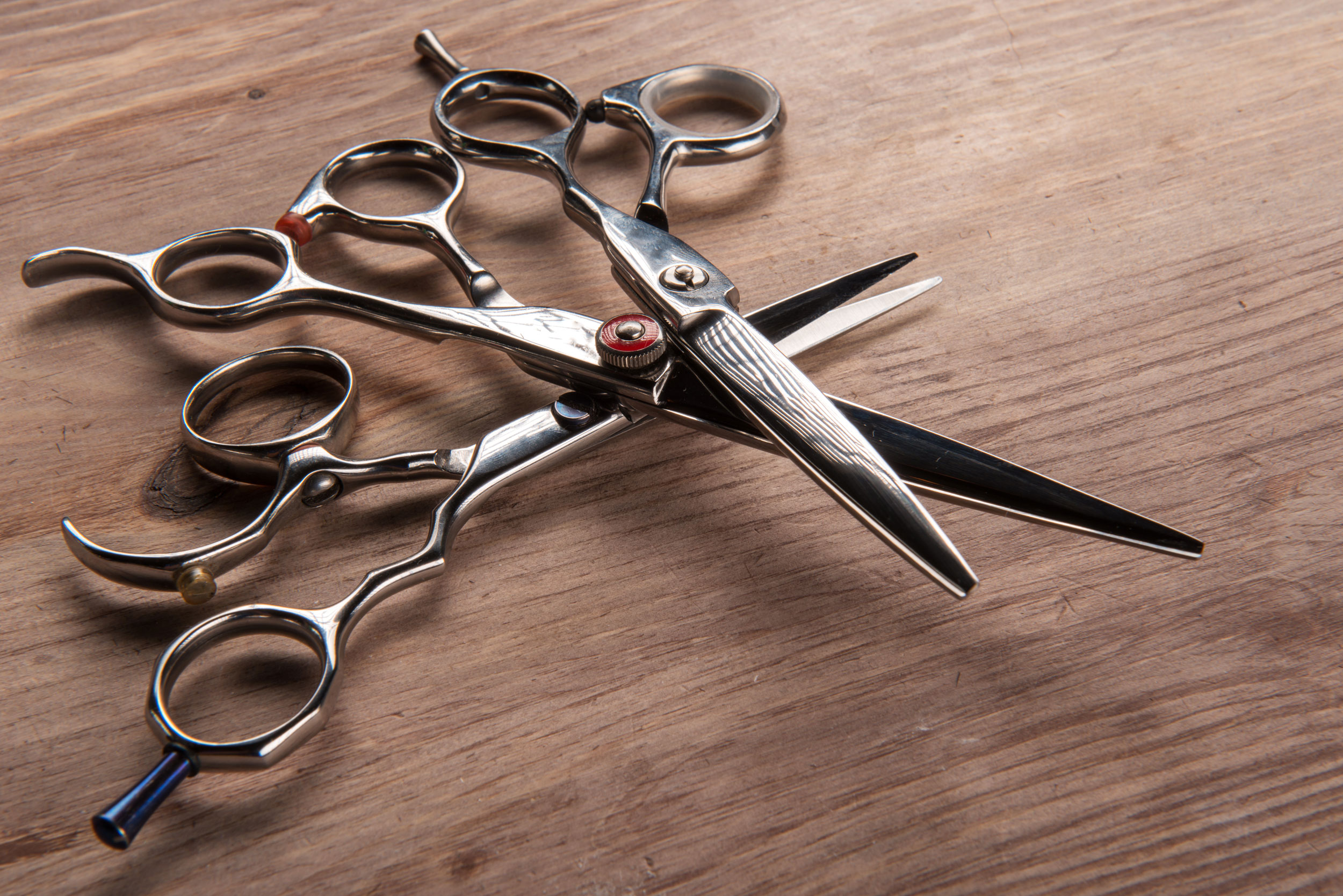 Sharpening Grooming Shears